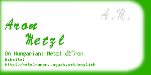 aron metzl business card